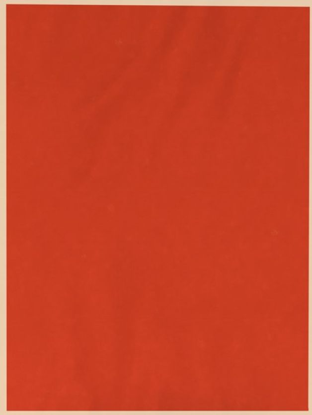Brick Red - Angora BRICK RED / ANGORA