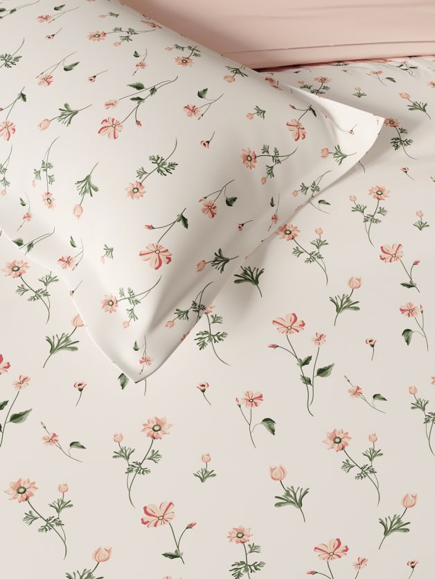 Daisy SHELL CORAL