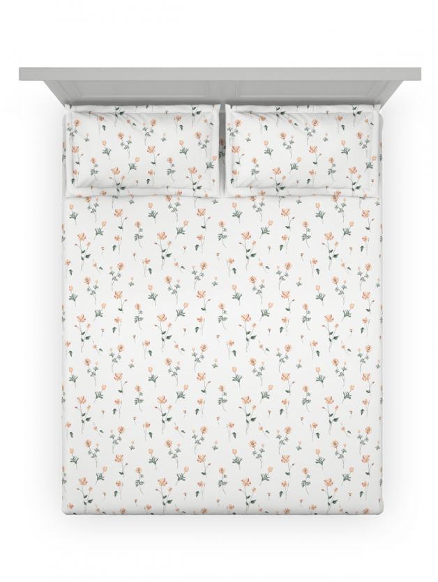 Daisy SHELL CORAL