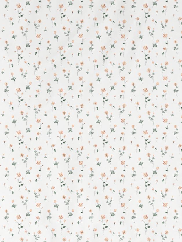 Daisy SHELL CORAL