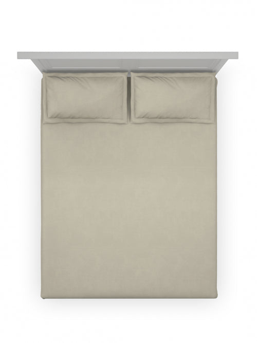 Taupe TAUPE