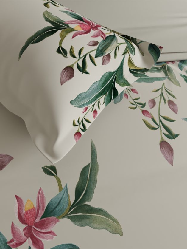 Glorious Silver Birch Silver Birch