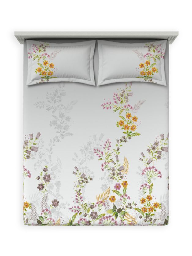 Florano Orchid Haze Orchid Haze