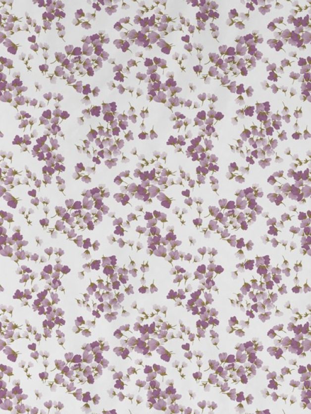 Radium LAVENDER HERB