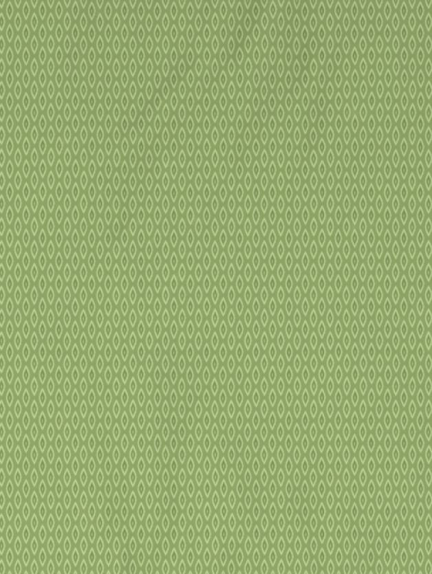 Vineyard Green VINEYARD GREEN