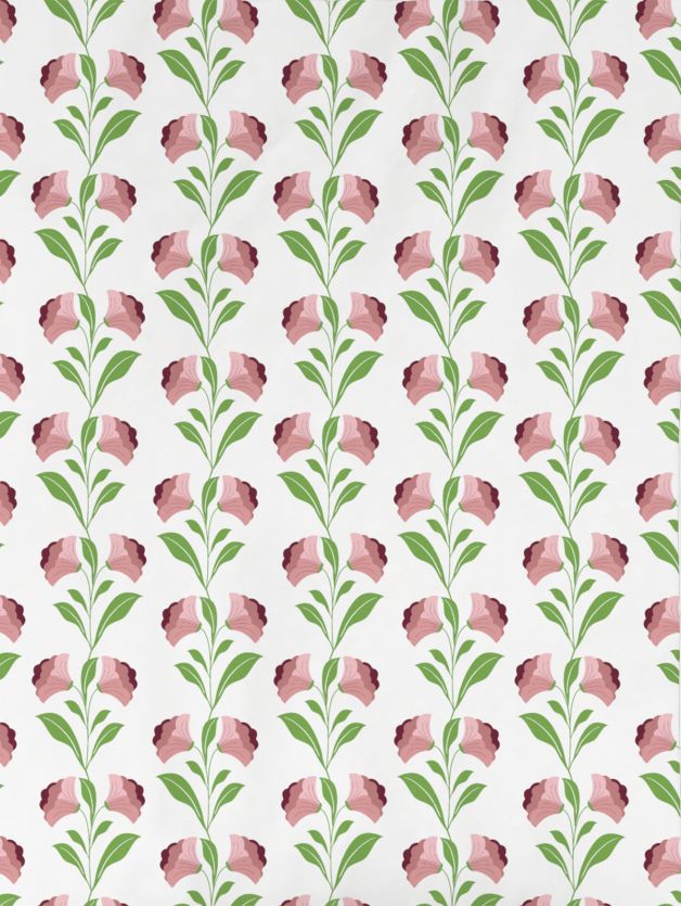 Gladiolus DESERT SAND