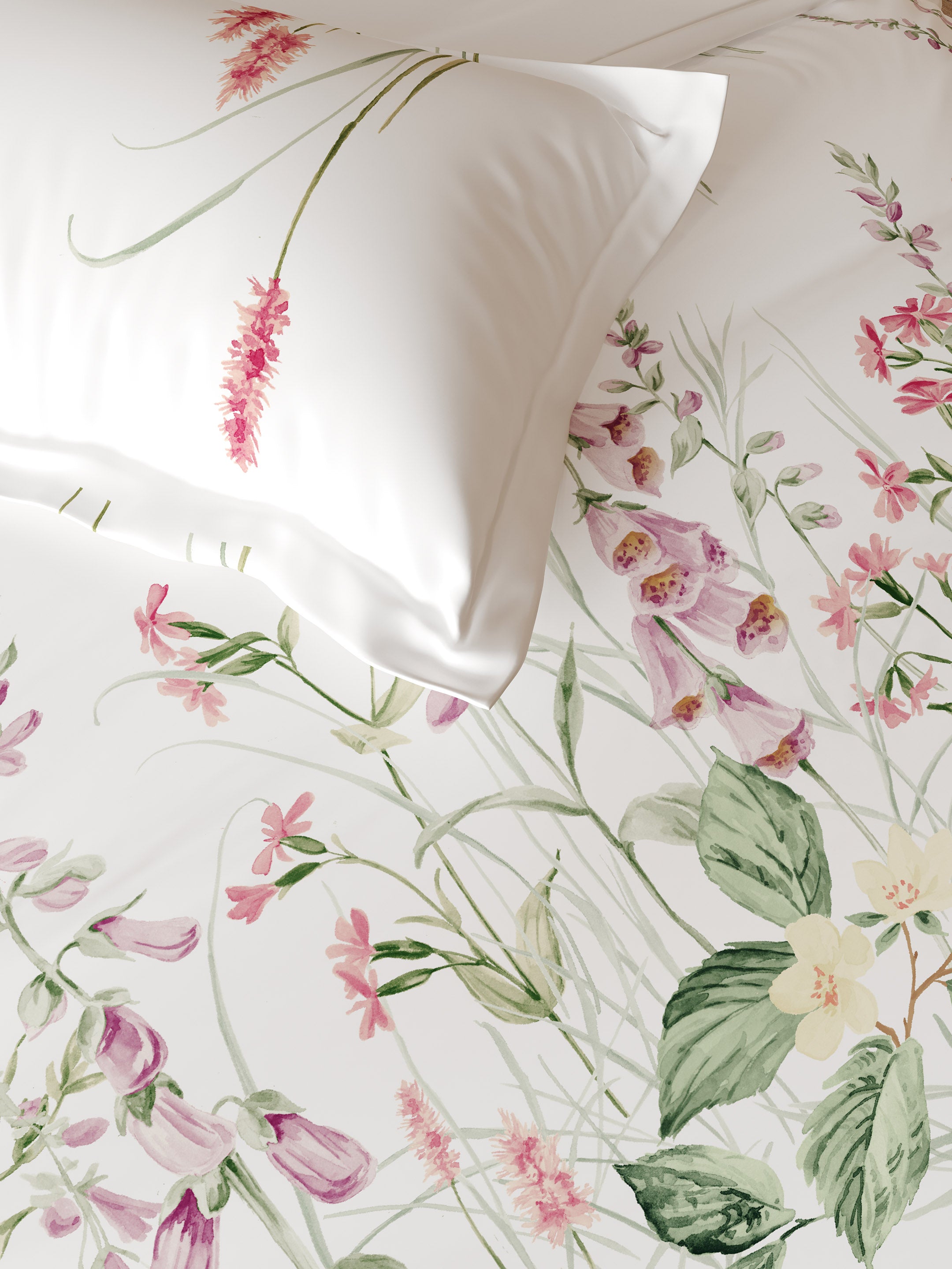 Veronica PINK NECTAR