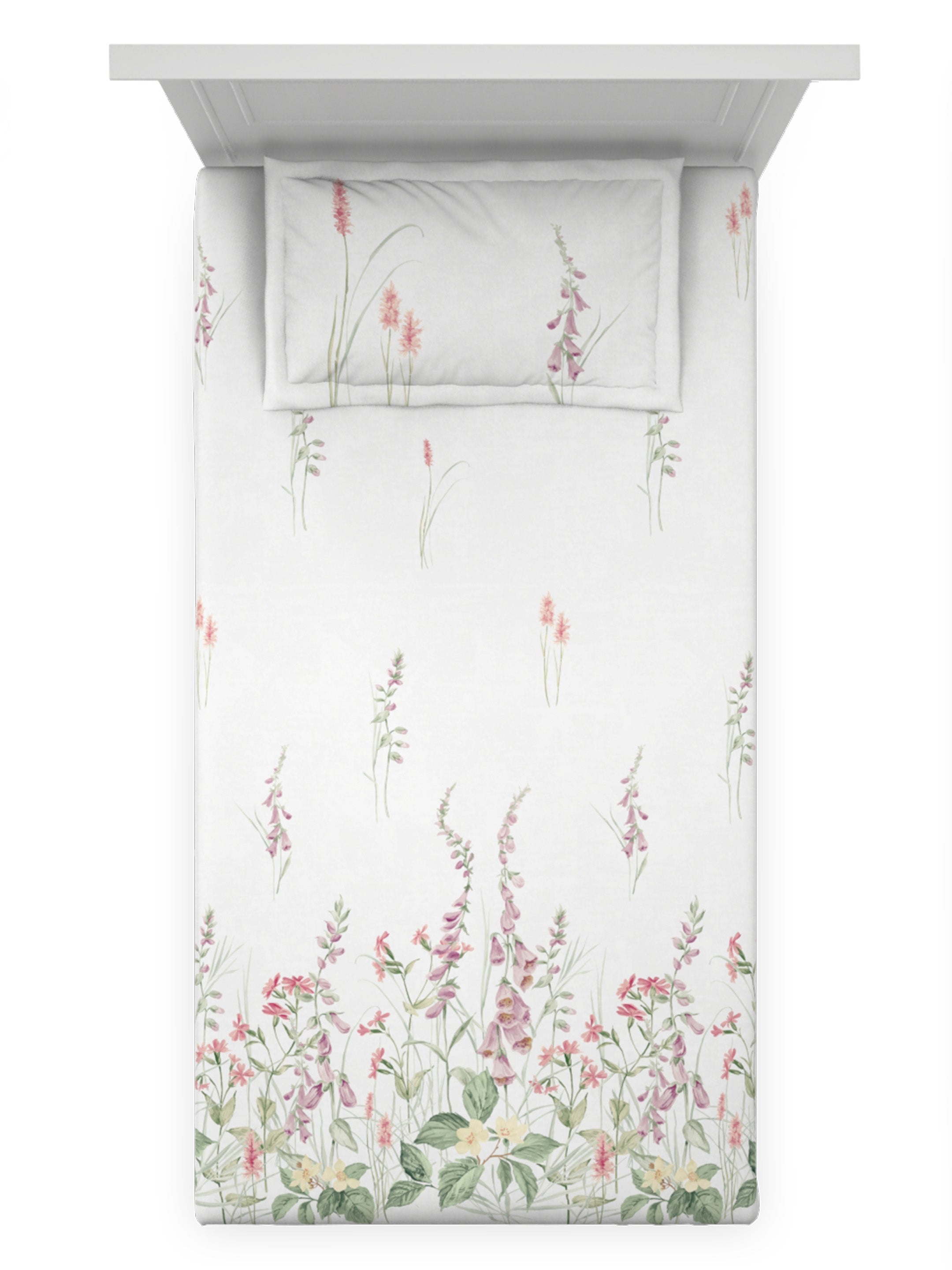 Veronica PINK NECTAR