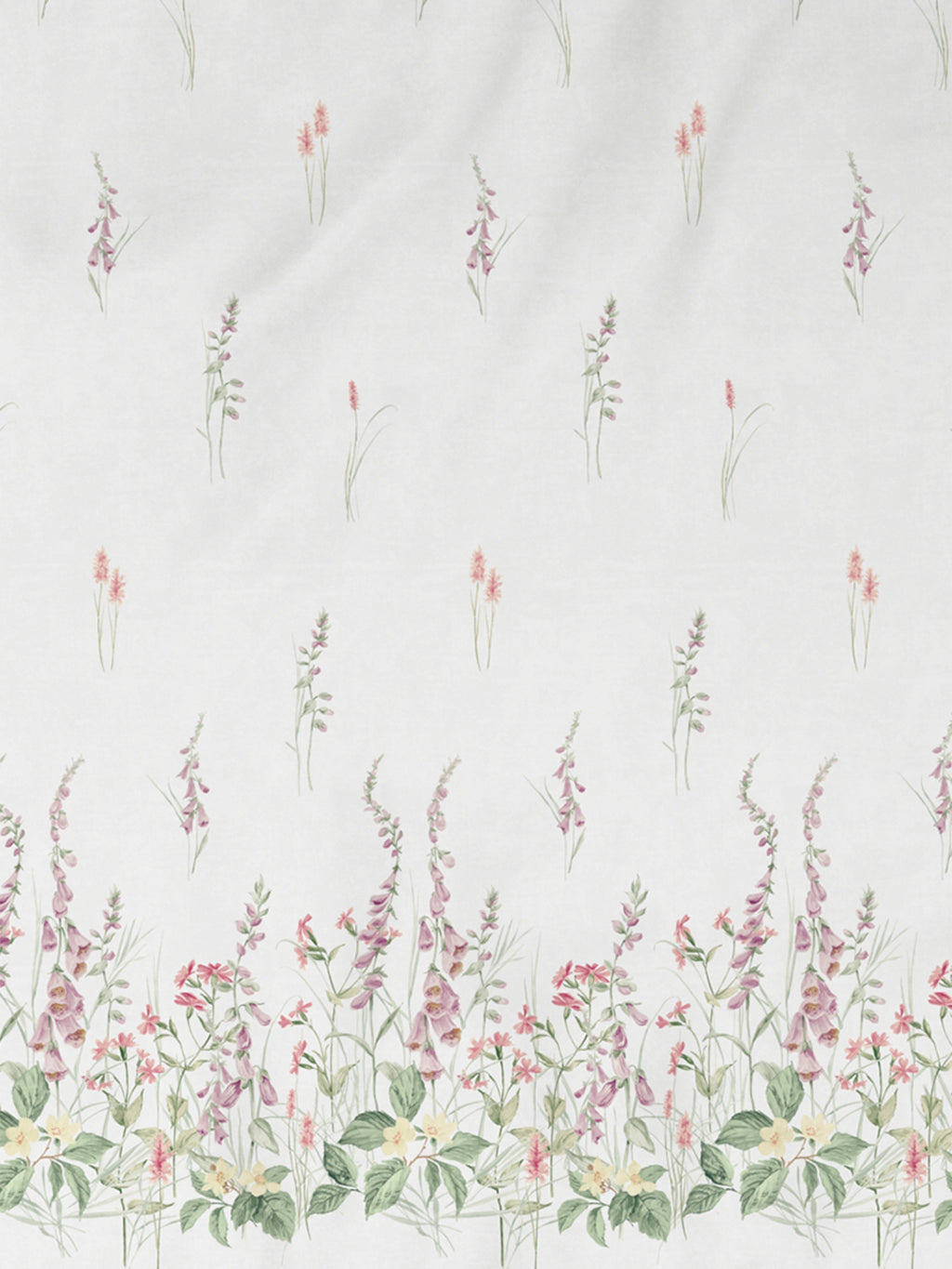 Veronica PINK NECTAR