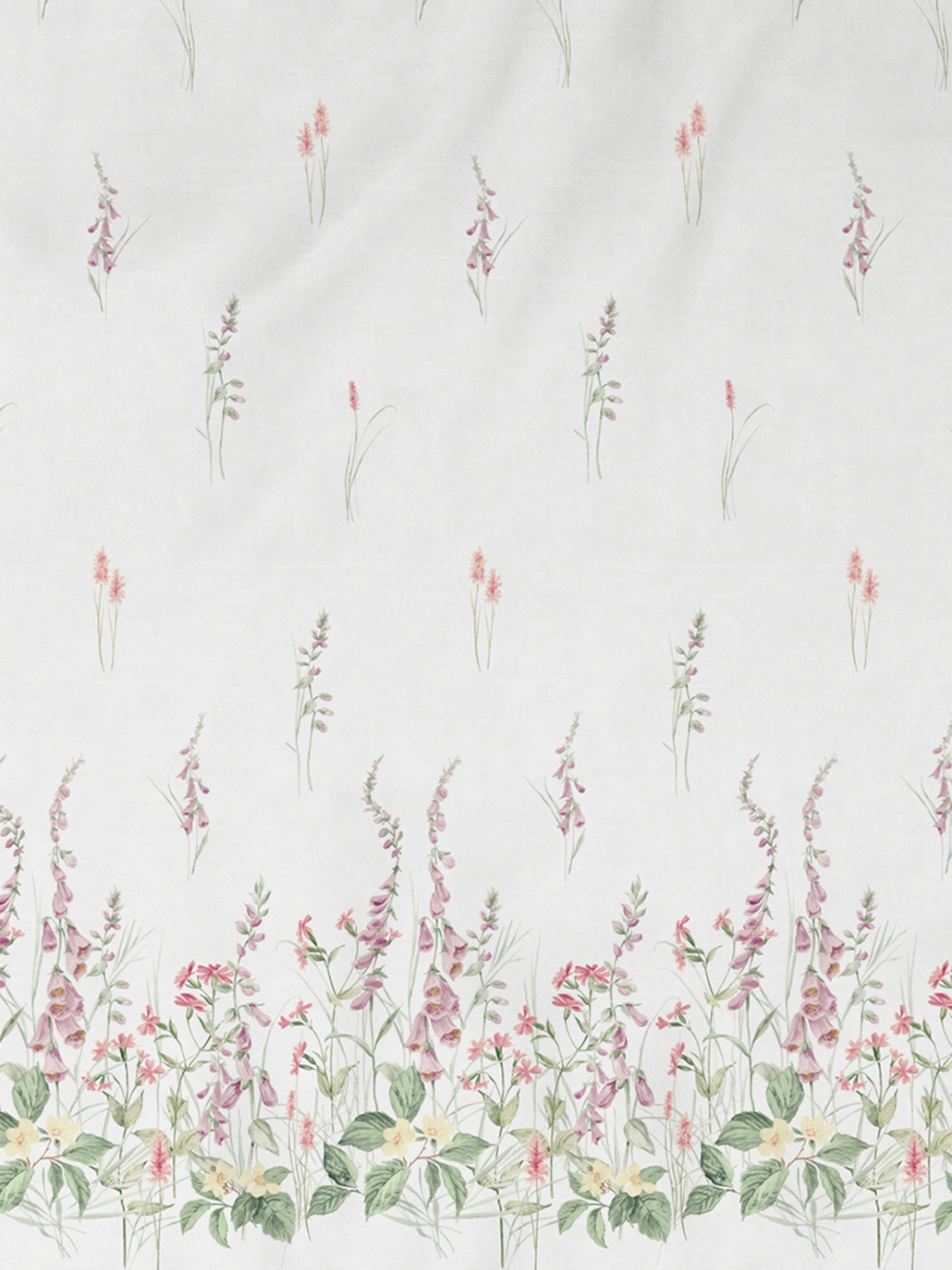 Veronica PINK NECTAR