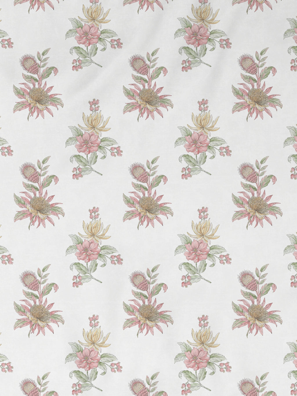 Peony STRAWBERRY ICE