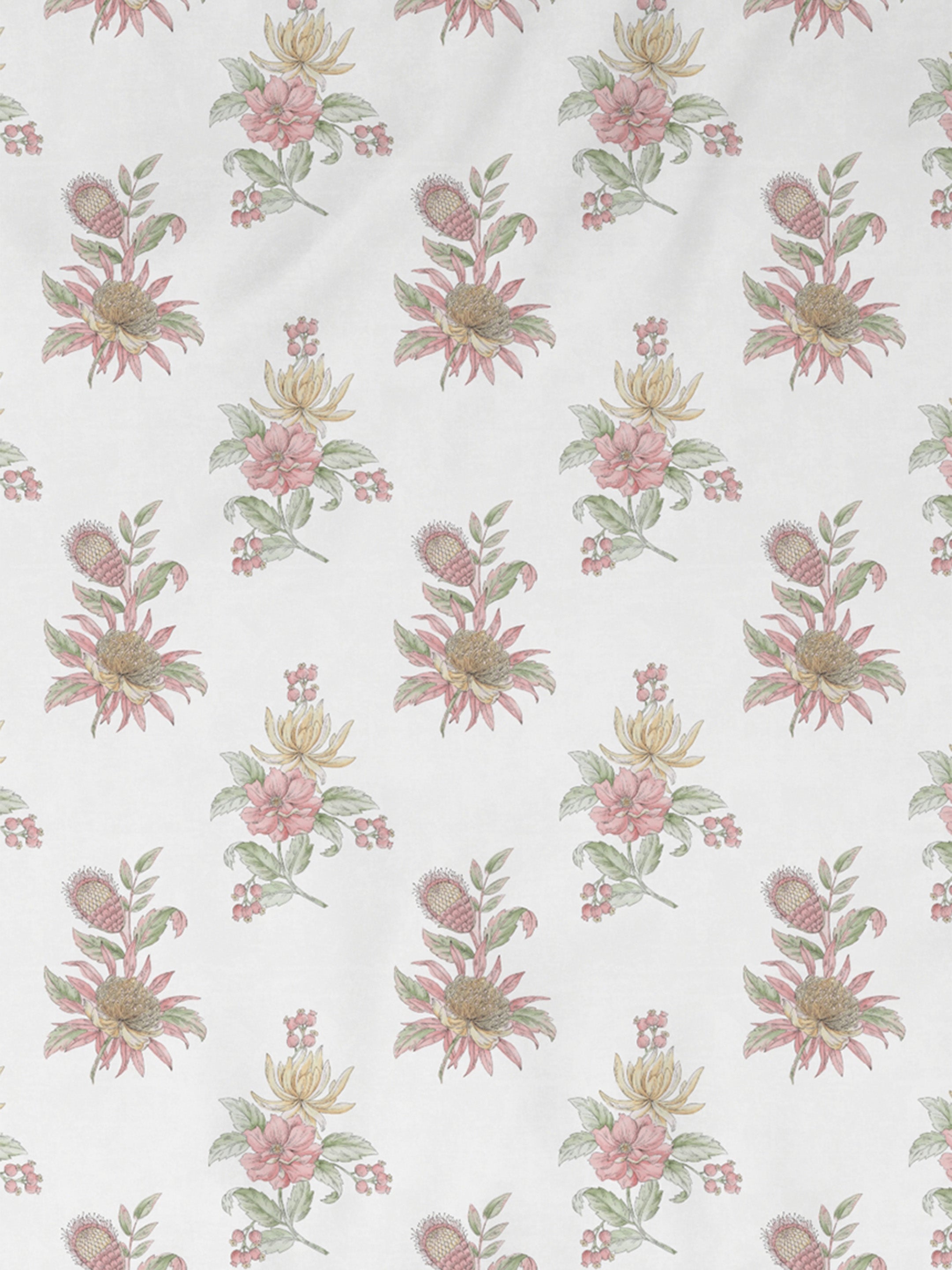 Peony STRAWBERRY ICE