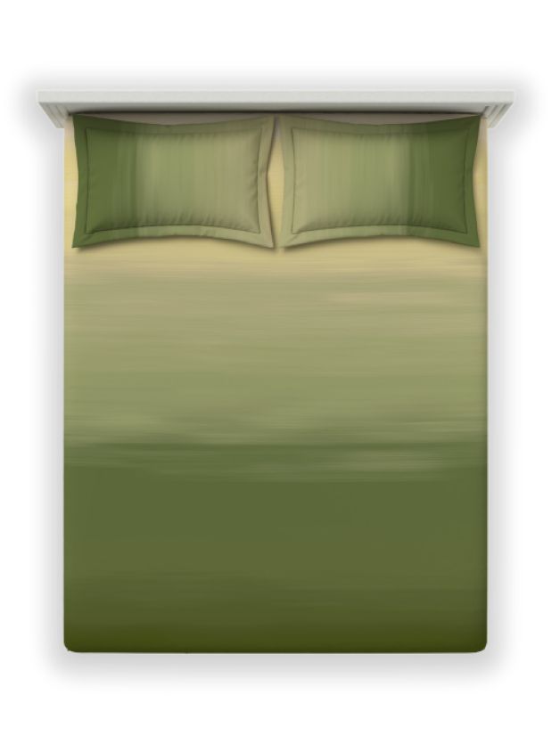 Balayage Olive Olive