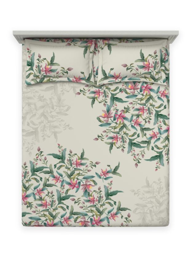 Glorious Silver Birch Silver Birch