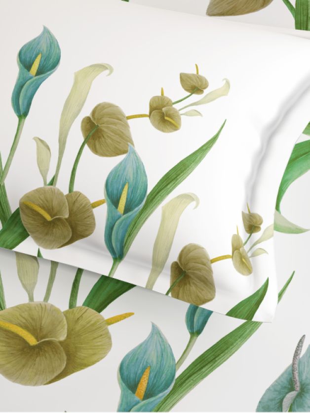Callalina Olive Olive
